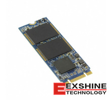 APM2T60P200256GAN-2TM