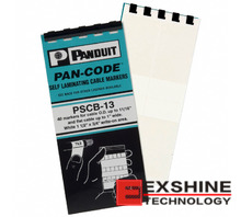 PSCB-13