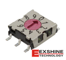 P25SMT101