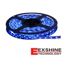 12V-SB-BLU-12M