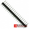 PEC19SAAN Image