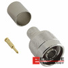 VN10-2020 Image