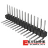 PEC14SGBN Image