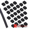 TELS-1 Image