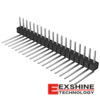 PEC19SBDN Image