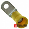 322894 Image