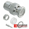 BNC-P-3(40) Image