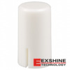 1RWHT Image