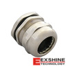 MPG-22321 Image