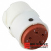 SJS860500 Image