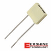 R82EC1100DQ50K Image