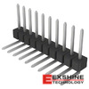 PEC10SGBN Image