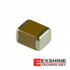 ECJ-4YF1C106Z Image