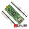 TCHIP010 Image
