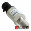 P51-300-G-A-P-20MA-000-000 Image