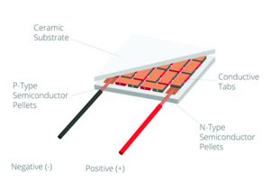 cui fig 1